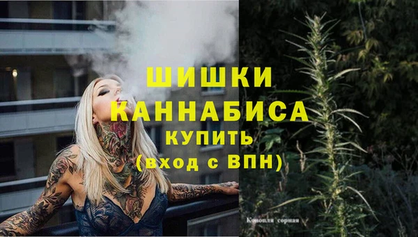 шишки Баксан