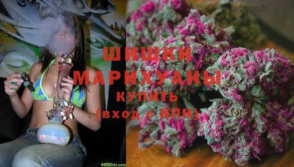 марки lsd Белокуриха