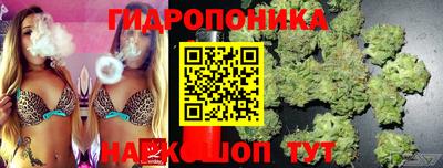 apvp Кандалакша