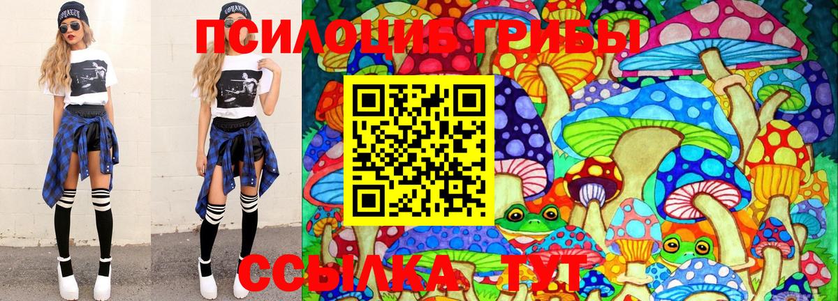 Галлюциногенные грибы Psilocybe Севастополь