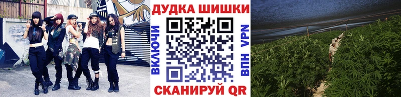 Бошки Шишки планчик Севастополь
