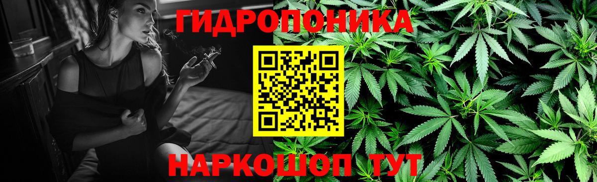 Шишки марихуана VHQ  Севастополь  Каннабис AK-47  Бошки Шишки VHQ 